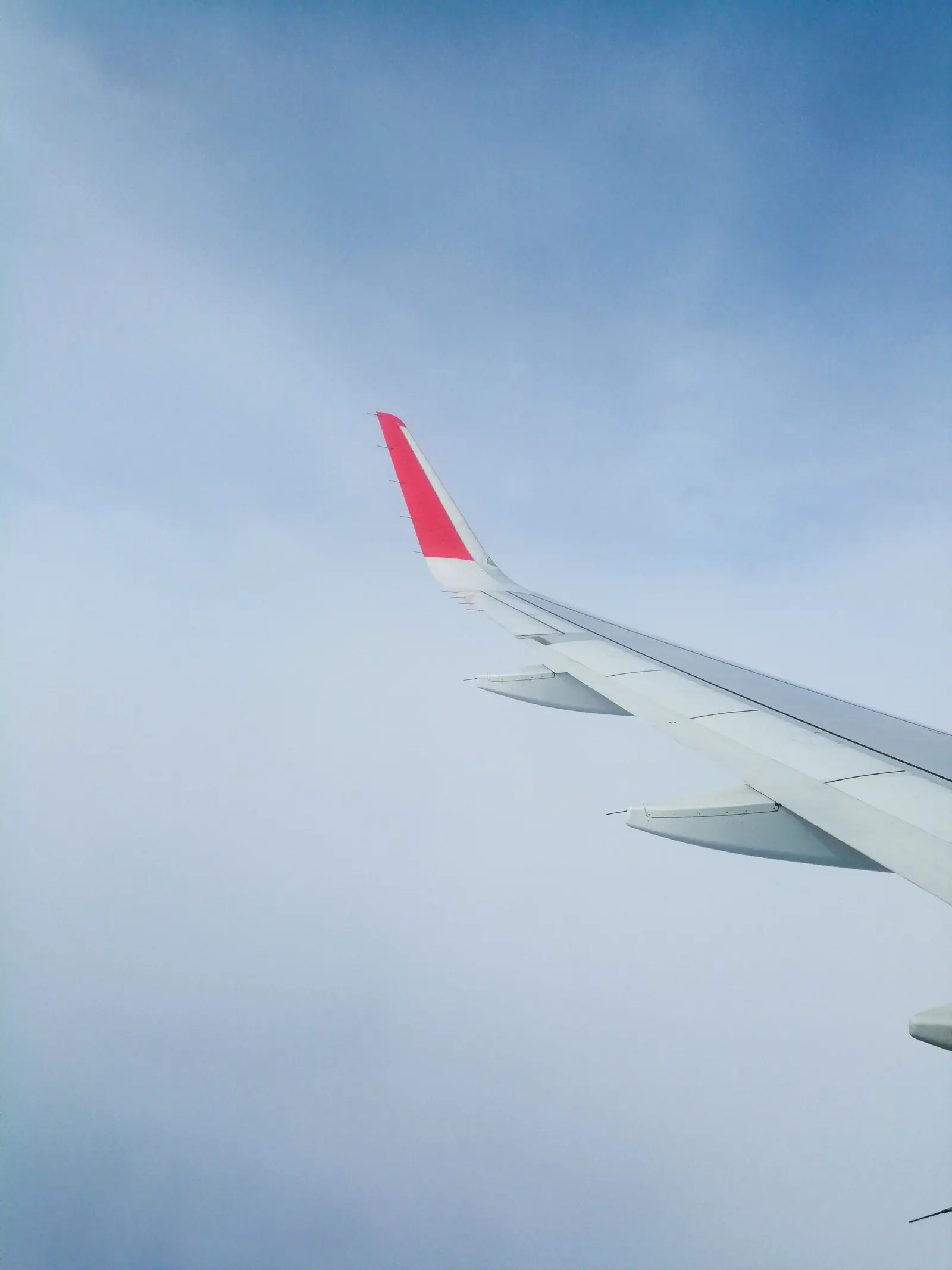 Aircraft wing in flight