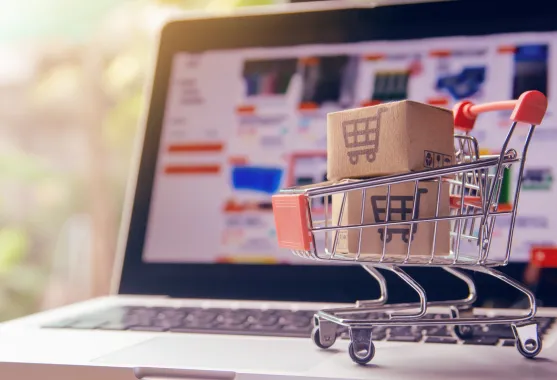 Ecommerce Webstore