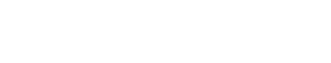 WebistPro Logo